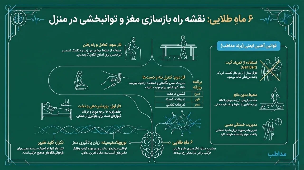 اینفوگرافی بارنگ سبز نقشه راه ۶ ماهه بازسازی مغز